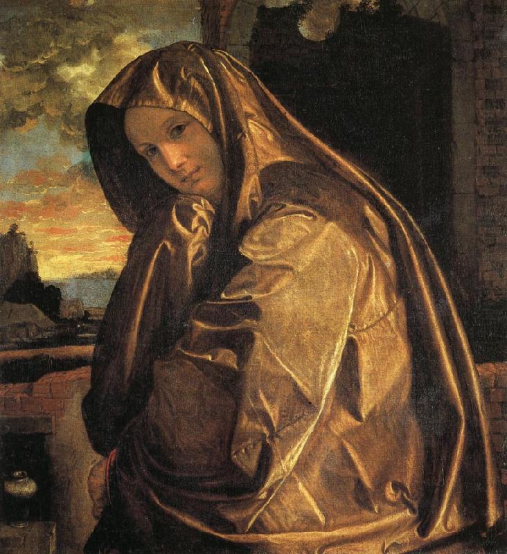 Giovanni Gerolamo Savoldo Mary Magdalen china oil painting image